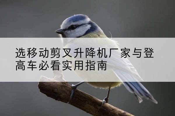 运河电动升降机厂家-选移动剪叉升降机厂家与登高车必看实用指南