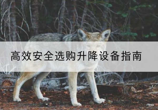 运河升降货梯厂家推荐-*安全选购升降设备指南