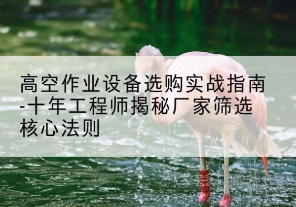 运河剪叉式升降机厂家-高空作业设备选购实战指南-十年工程师揭秘厂家筛选核心法则